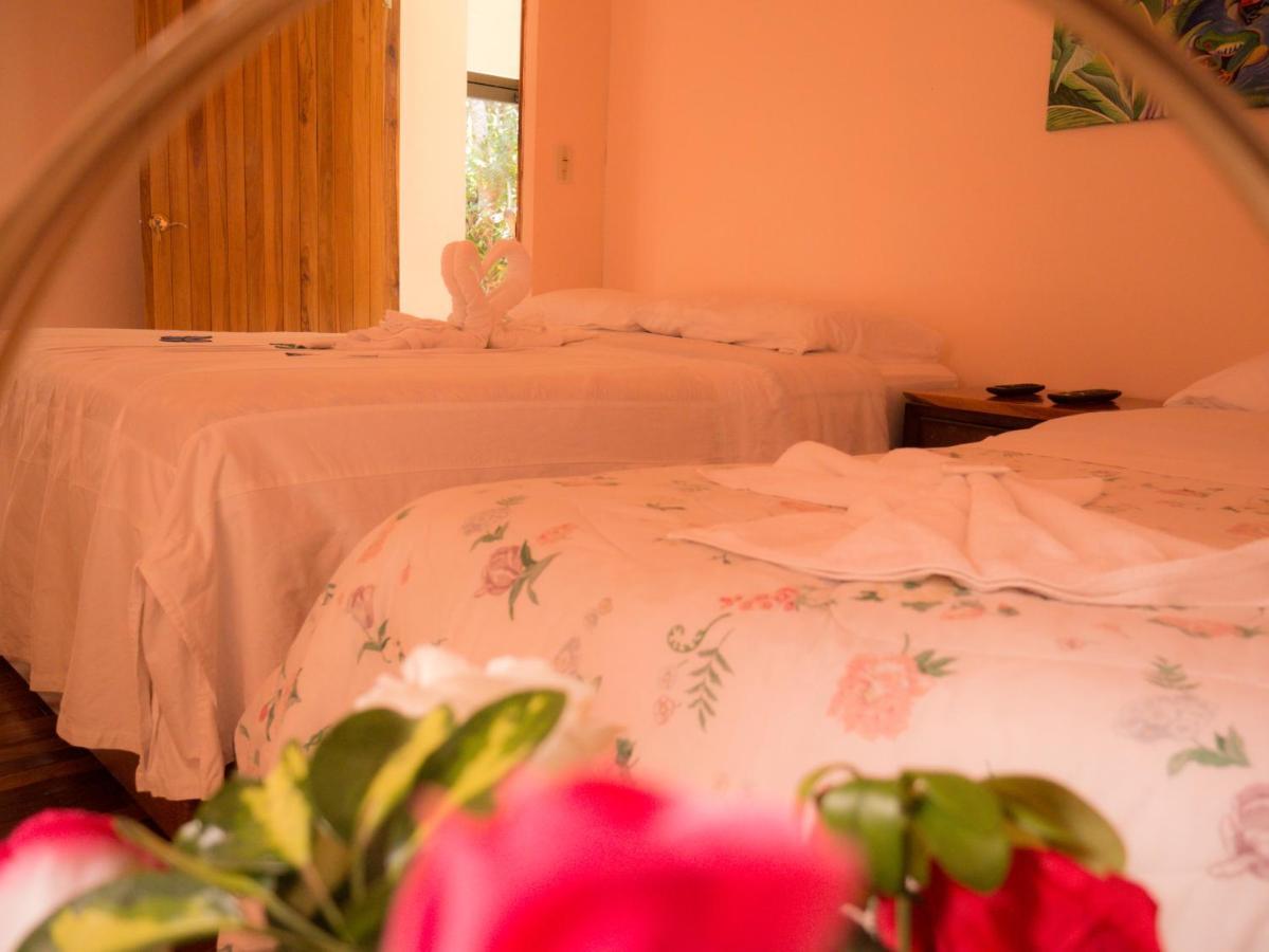 Monte Los Lirios Lodge Monteverde Zewnętrze zdjęcie