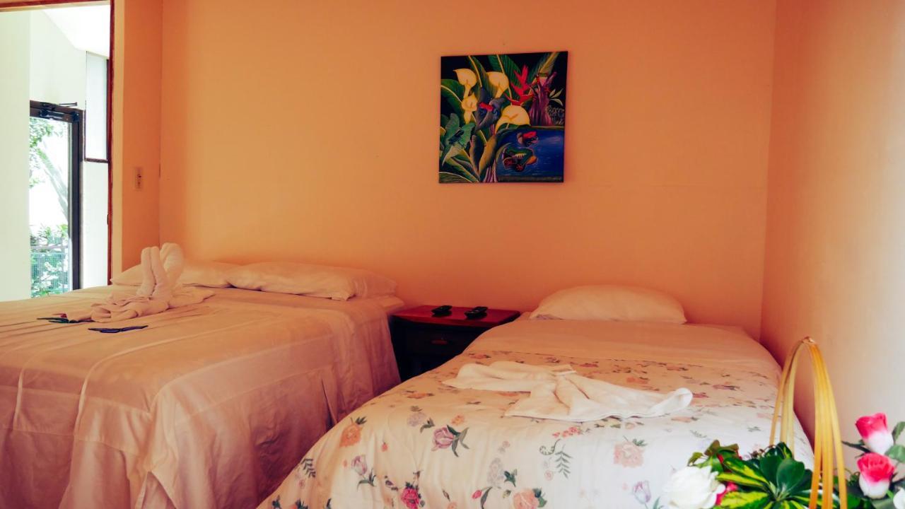 Monte Los Lirios Lodge Monteverde Zewnętrze zdjęcie